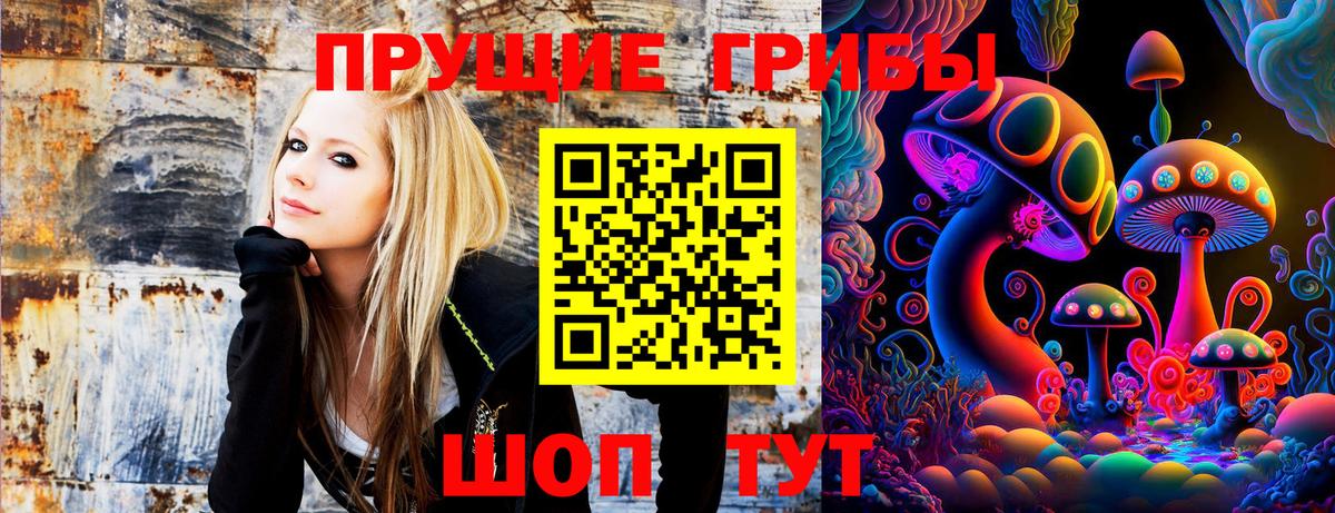Псилоцибиновые грибы Psilocybine cubensis  Вход с VPN  Кимовск 