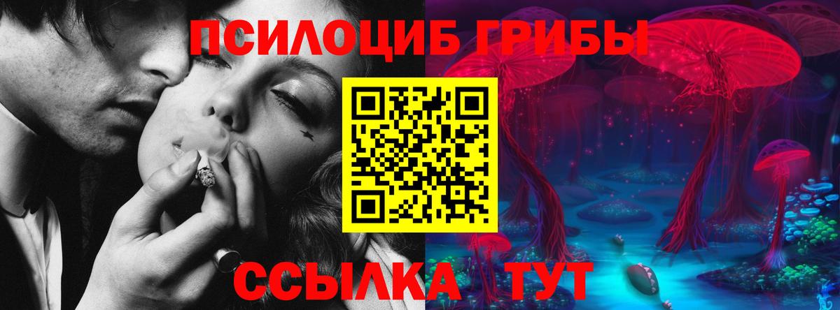 Псилоцибиновые грибы мицелий Кимовск