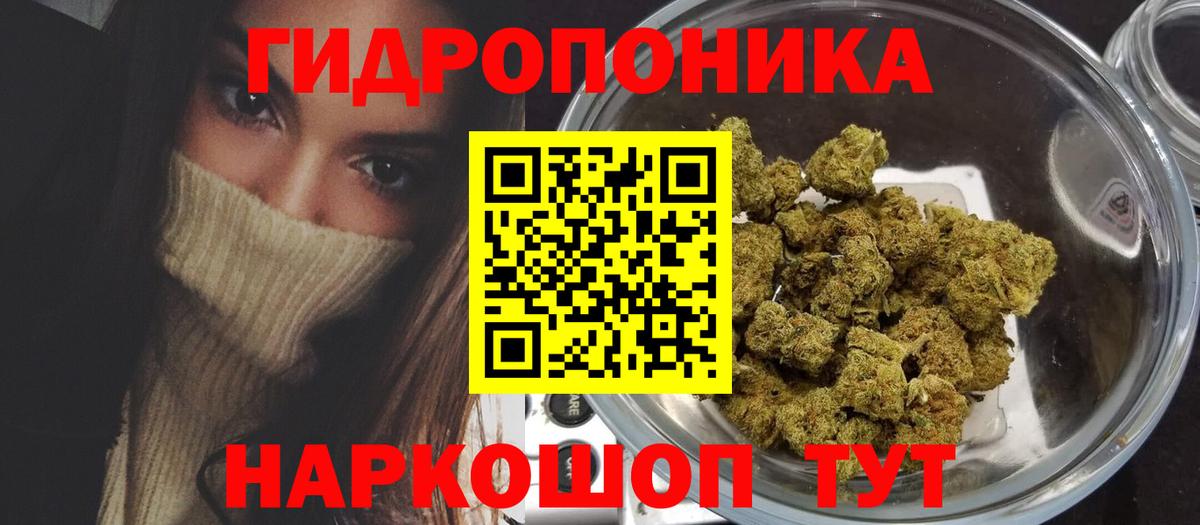 Бошки Шишки сатива  МАРИХУАНА марихуана  Кимовск  Канабис семена  Вход с VPN  Каннабис план 